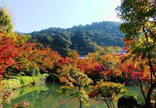 Red and orange maples around the Hojo pond of Eikan-do below the wooded Higashiyama hills