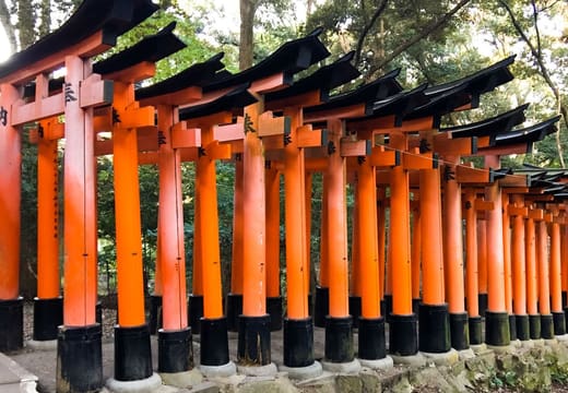 Rows of vermilion torii with black bases seen from beside the path at Fushimi Inari