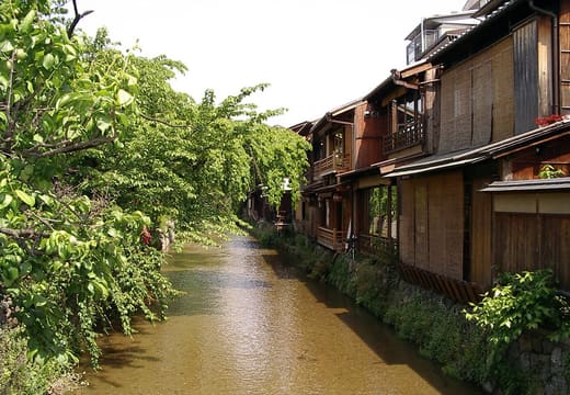 The Shirakawa canal in Gion lined with wooden teahouses and green trees, Kyoto
