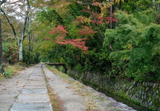 The paved walk beside the canal on the Philosopher's Path with early autumn colours