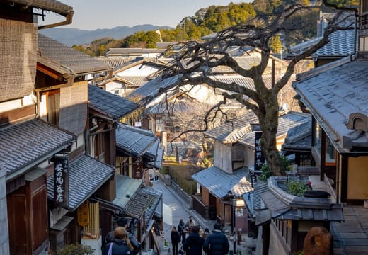 Looking down the Sannenzaka slope over tiled wooden rooftops and a bare tree, Kyoto