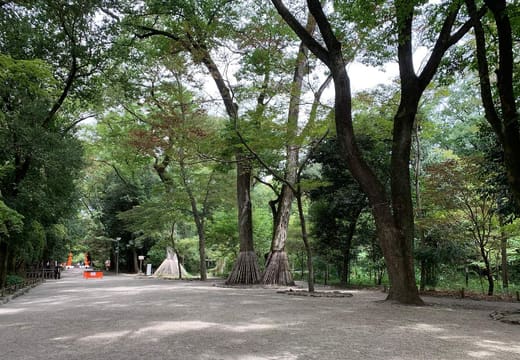 The broad gravel approach through the Tadasu no Mori forest to Shimogamo Shrine, Kyoto