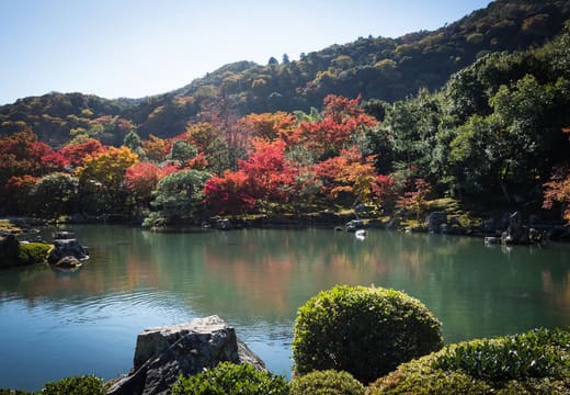 Autumn maples on the Arashiyama hills behind the Sogenchi pond garden of Tenryu-ji