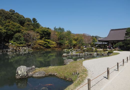 The Sogenchi pond of Tenryu-ji with the Hojo hall and a gravel path beside it, Kyoto