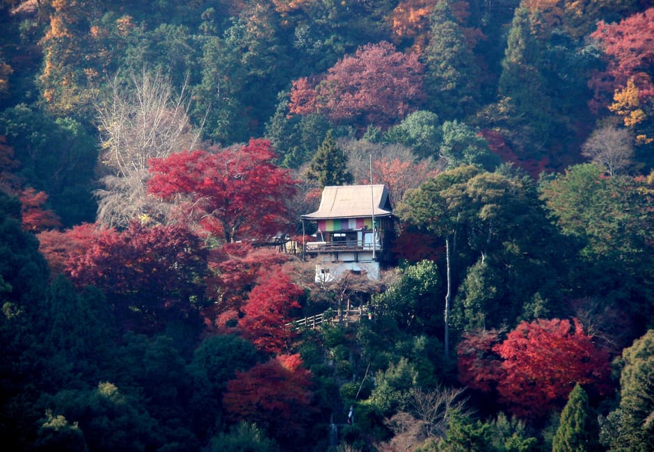 The Daihikaku hall of Senko-ji perched on the wooded slope above the Hozu gorge among red autumn maples