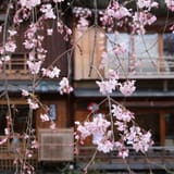 Gion Shirakawa