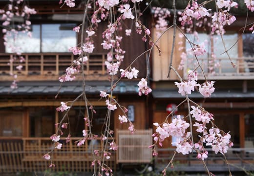Gion Shirakawa