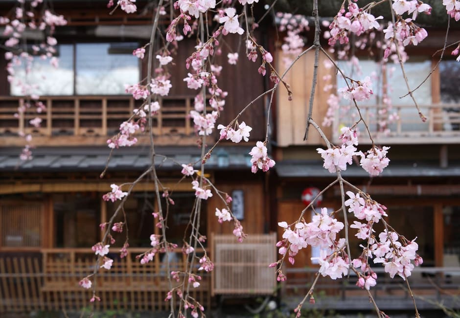 Gion Shirakawa, Gion, Kyoto