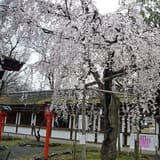 Hirano Shrine
