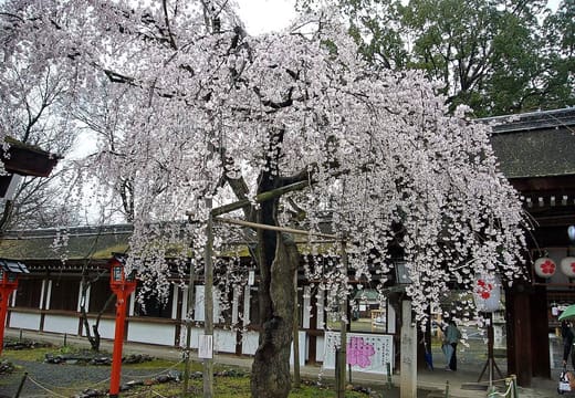 Hirano Shrine