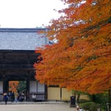 Jingo-ji