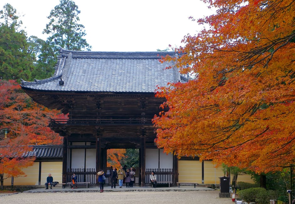 The Romon gate of Jingo-ji in the Takao hills, with red and orange maples beside it in autumn