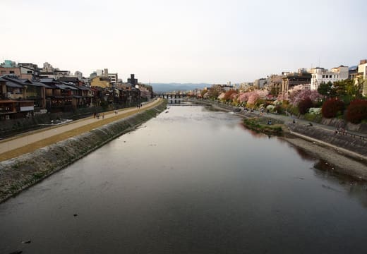 Kamo River