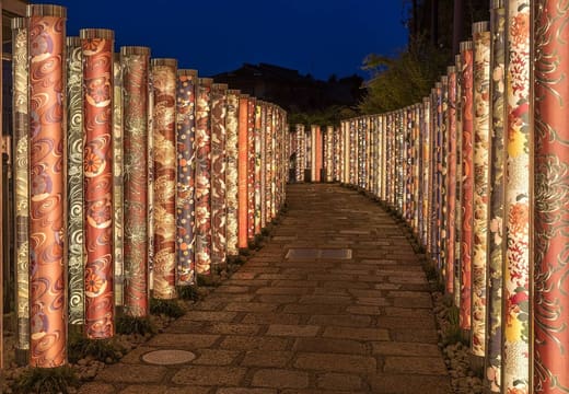 Kimono Forest