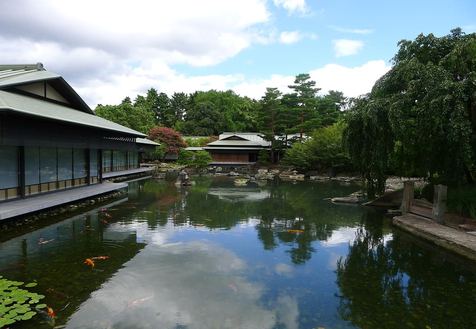 The garden pond of the Kyoto State Guest House, with koi, water lilies and the low wooden buildings along its edge
