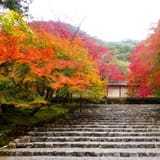 Nison-in