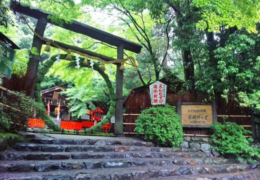 The black wooden torii of Nonomiya Shrine above stone steps, hung with a grass ring