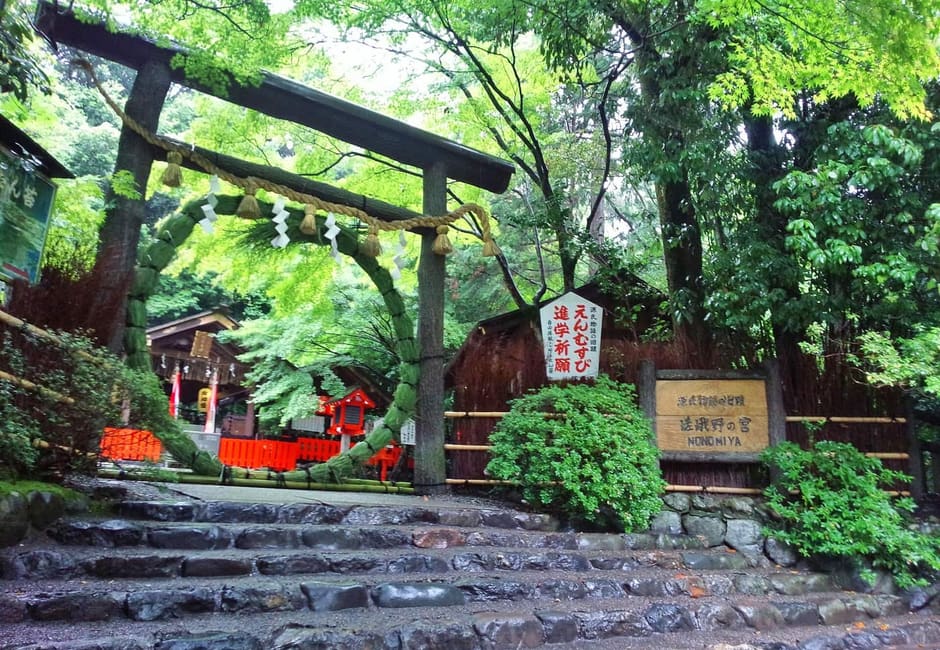 The black wooden torii of Nonomiya Shrine above stone steps, hung with a grass ring