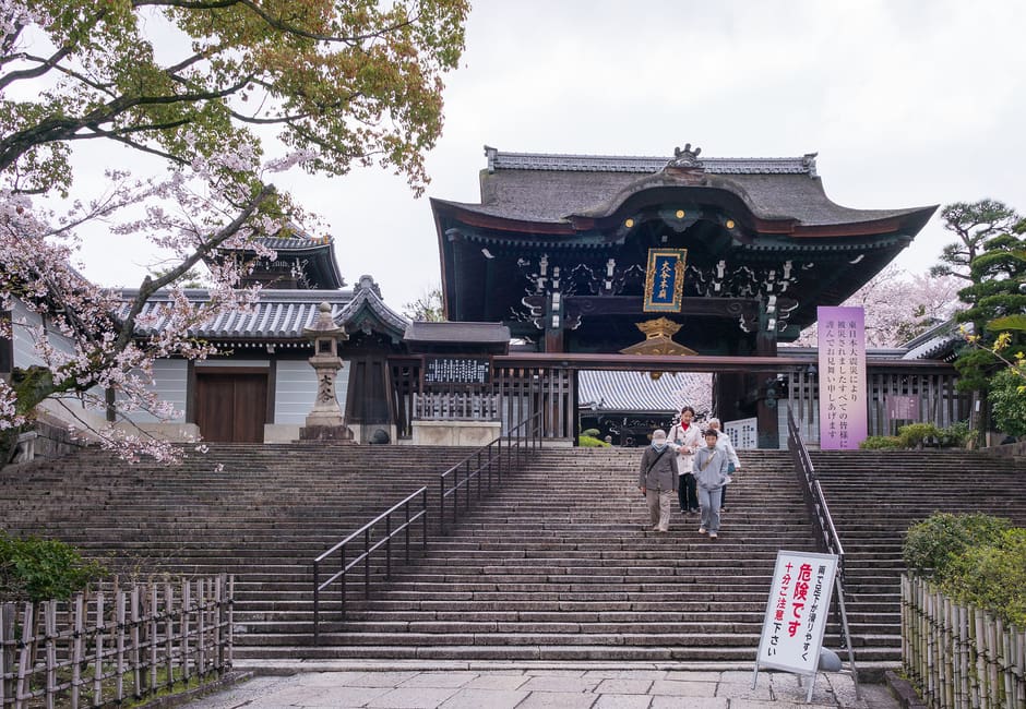 Stone steps leading up to the ornate main gate of Otani Hombyo, with cherry blossom at the edge
