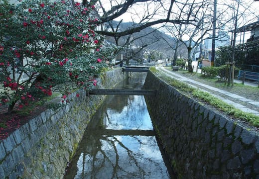 Philosopher's Path