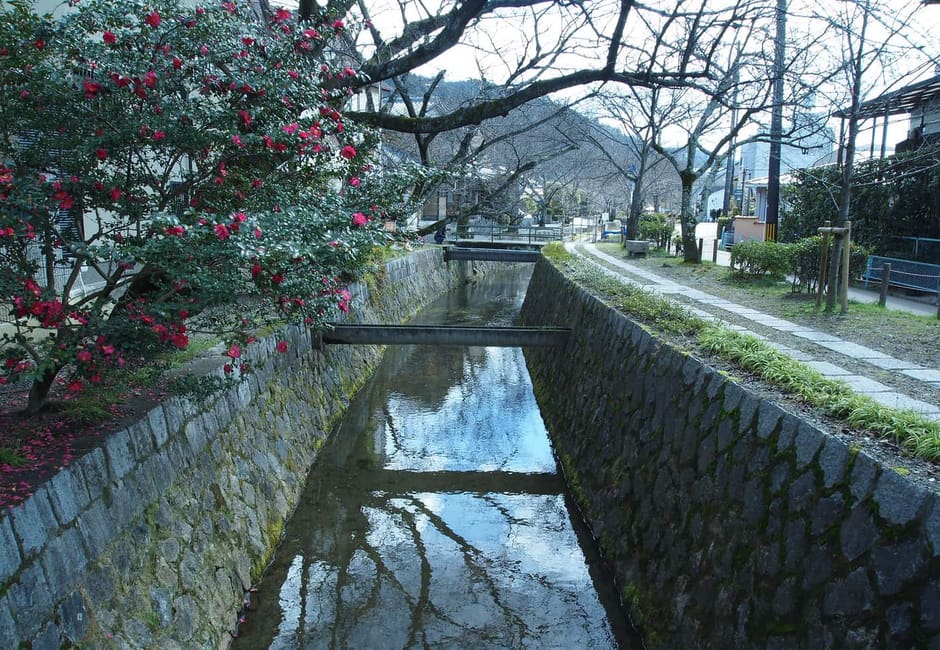 The stone lined canal and footpath of the Philosopher's Path in Kyoto