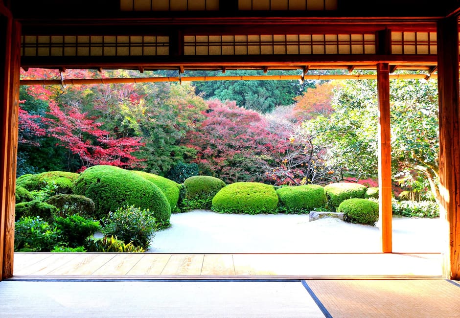 Shisen-do's white sand garden and clipped azaleas framed by the hall's open sliding doors in autumn
