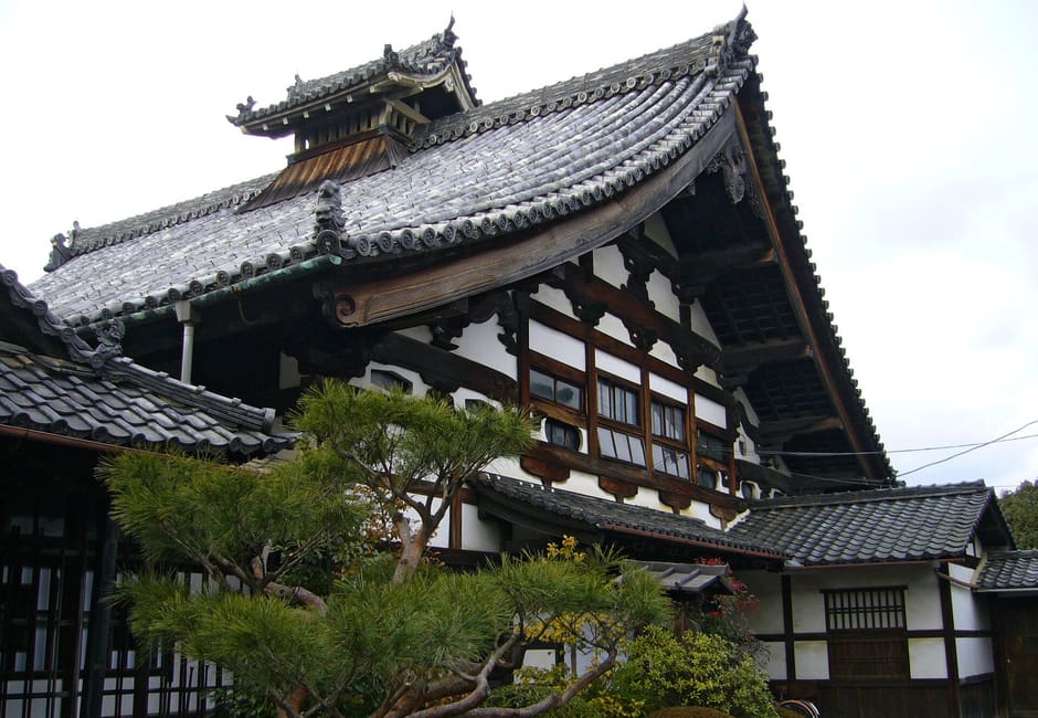 The tiled roof and white plastered timber walls of Shunko-in, a Myoshin-ji subtemple, behind a pine