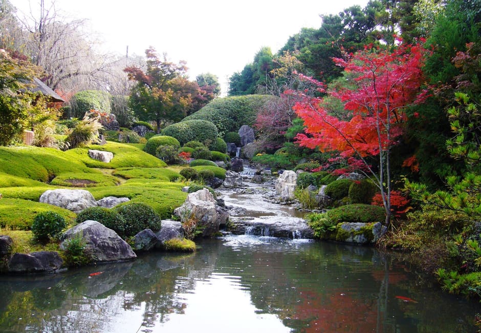 The Yoko-en pond garden at Taizo-in, with its stepped waterfall, clipped shrubs on green banks and red maples in autumn