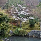 Tenryu-ji