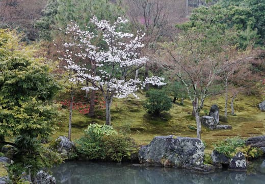 Tenryu-ji
