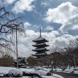 To-ji