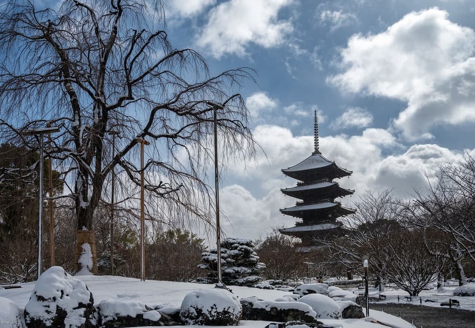 The five-storey pagoda of To-ji above snowy grounds and bare trees