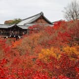 Tofuku-ji