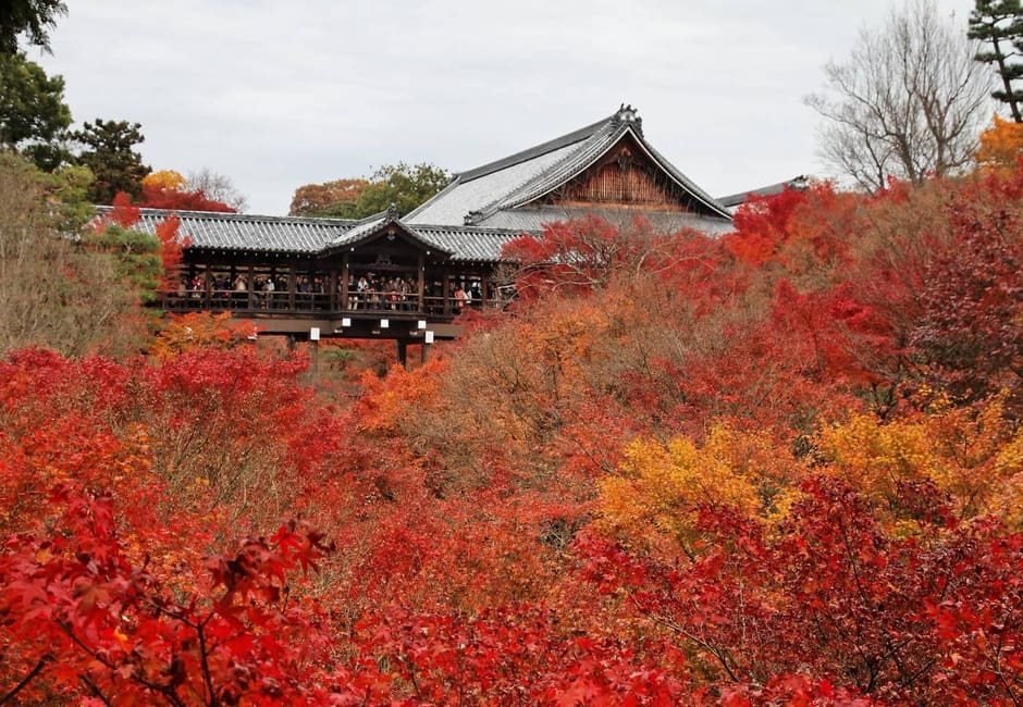 A sea of red autumn maples in the valley below the halls of Tofuku-ji