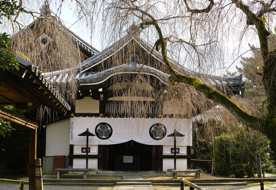 The main hall of Yogen-in, its white curtain marked with the Tokugawa hollyhock crest, behind a weeping tree